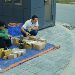 Chưa từng thấy phim Việt giờ vàng nào vô lý đến cỡ này, biên kịch sống ở trên sao Hỏa đấy à? avatar1765442979815 17654429804281439883024 38 0 352 600 crop 17654430469051614596998gifpng