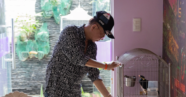 Nam nghệ sĩ từng là đại gia một thời, phường nào cũng có nhà: 62 tuổi sống an phận bên vợ 2 kém 23 tuổi avatar1765450267403 17654502684721750803485 0 0 770 1470 crop 17654503406701147917257png