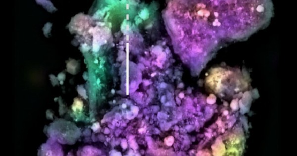 Phát hiện thứ giống kẹo cao su ở thế giới ngoài Trái Đất avatar1765594708295 1765594708931457390465jpg 1