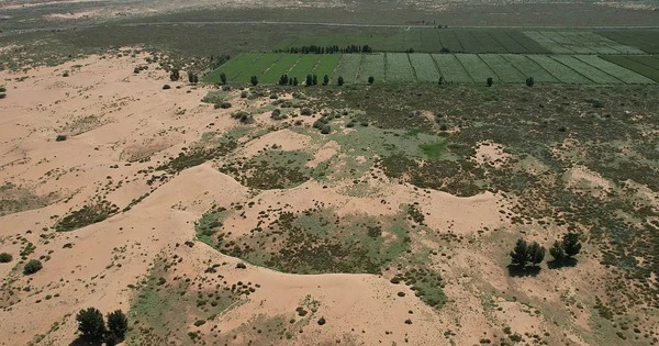 Trung Quốc ‘vỡ mộng’: Tốn 50 năm trồng 66 tỷ cây làm Vạn Lý Trường Thành nhưng vẫn bị sa mạc "nuốt chửng" đất, tham vọng chế ngự thiên nhiên có khả thi? avatar1765596403147 1765596403606461215537jpg