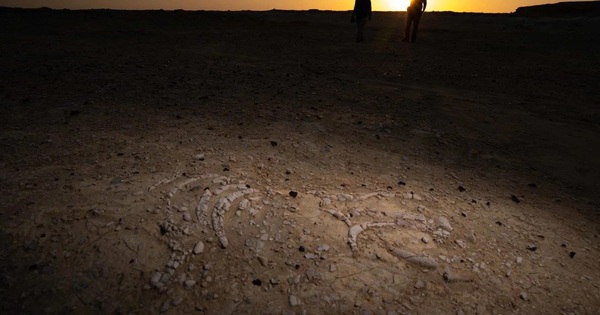 170 điểm chứa xương "nàng tiên cá" lộ ra giữa sa mạc Trung Đông avatar1765614047587 17656140480571078479166jpg