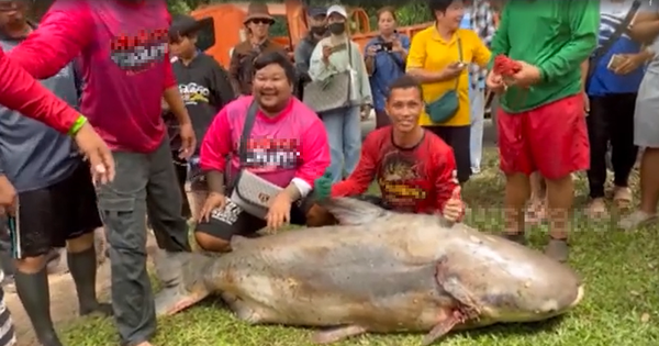 Người đàn ông bắt được “thủy quái” nặng 200kg trên sông avatar1765618200729 1765618201445813029707png