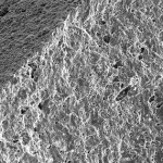 Phát minh chưa từng có của người Trung Quốc: gốm sứ siêu dẻo, siêu cách nhiệt, có thể làm rung chuyển ngành hàng không vũ trụ avatar1765714052698 17657140536191264951903png