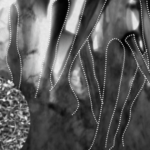 Phát minh "lá chắn 800°C" có thể rung chuyển cùng lúc 3 lĩnh vực toàn cầu, trong đó có hạt nhân avatar1765784769484 1765784770128723480649png