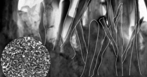 Phát minh "lá chắn 800°C" có thể rung chuyển cùng lúc 3 lĩnh vực toàn cầu, trong đó có hạt nhân avatar1765784769484 1765784770128723480649png