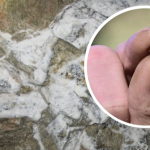 Tìm thấy ‘công cụ’ mới giúp phát hiện đến 70.000 tấn vàng cùng hàng loạt khoáng sản, có thể xoay chuyển hoàn toàn công nghệ khai thác kim loại quý avatar1765794612161 17657946125771507326882