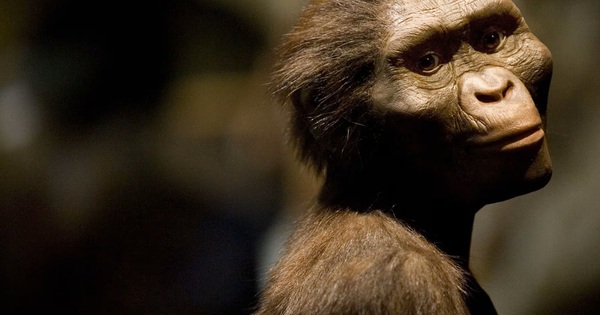 Bàn chân 3,4 triệu tuổi làm thay đổi lịch sử loài người avatar1765861172649 17658611730931429568596jpg