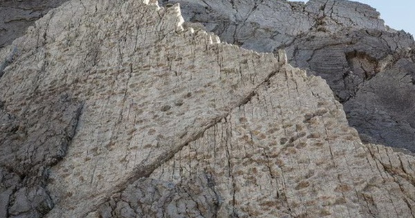 20.000 dấu chân quái vật bất ngờ hiện ra trong ảnh chụp vách núi avatar1766044632541 17660446330291153784465 0 85 315 589 crop 17660446474021324630480jpg