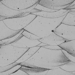 Phát minh phá vỡ truyền thống về "ma trận nhôm" có thể rung chuyển ngành công nghiệp ô tô toàn cầu avatar1766044691595 17660446919892130654260png