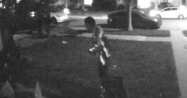 Xem camera, người phụ nữ sốc nặng khi thấy hành động của shipper avatar1766049825703 17660498264581764400167 0 63 315 567 crop 1766049837975470059895jpg