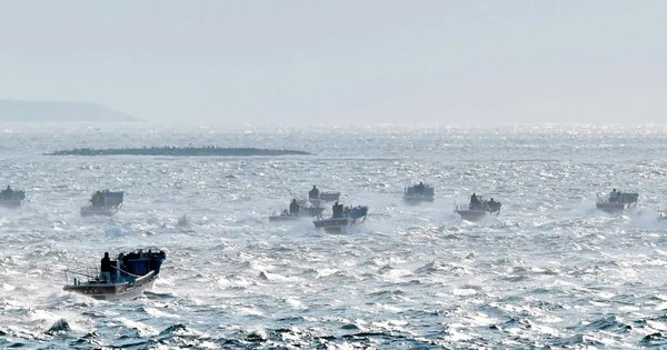 Vì sao mực nước biển biến động bất thường ngoài khơi Nhật Bản? avatar1766062672112 17660626789721328422540jpg