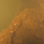 Kinh ngạc phát hiện “Vương quốc cá mập” bên trong miệng núi lửa đang sôi sục dưới đáy biển avatar1766113815892 17661138164421157367687gifpng