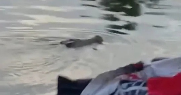 Tắm sông cùng bạn, bé trai 10 tuổi bị "thứ đáng sợ" kéo xuống nước sâu tử vong avatar1766135123175 1766135123670810034327jpg