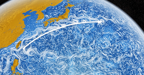 Ngoài khơi Nhật Bản đang diễn ra hiện tượng kỳ quái nhất trên Trái đất avatar1766135501841 1766135502268180851190jpeg