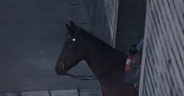 Nhìn mỹ nam này phải thốt lên “Hoàng tử thời dân quốc”: Khí chất vương giả ăn vào máu, đẹp không chừa phần ai avatar1766160248288 176616024918861929322 40 0 354 600 crop 1766160305099400494855gifpng