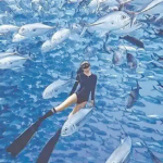 Nghề "hot": Đi làm như đi chơi kiếm hơn nửa tỷ đồng avatar1766308263037 17663082635281330182025 0 42 315 546 crop 1766308292585321117615png