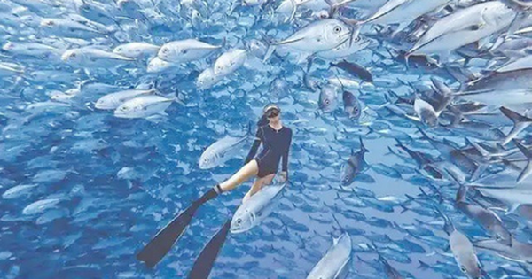 Nghề "hot": Đi làm như đi chơi kiếm hơn nửa tỷ đồng avatar1766308263037 17663082635281330182025 0 42 315 546 crop 1766308292585321117615png