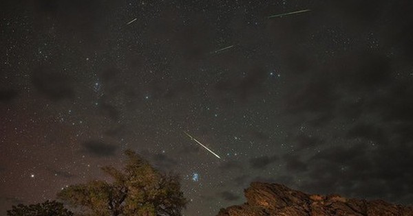 Đêm nay, Việt Nam đón cực đại mưa sao băng "gấu nhỏ" avatar1766377774336 17663777746721634941897 0 17 315 521 crop 1766377786758596688980jpg