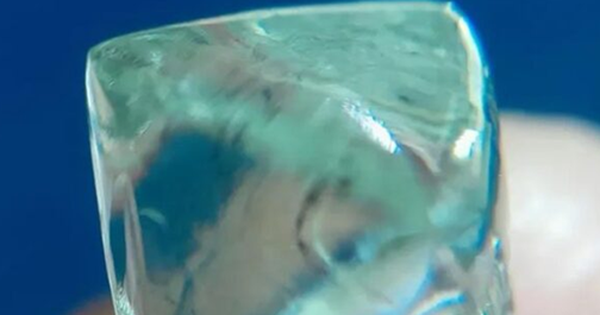 Rủ nhau đi đào đất, 2 người đàn ông “đổi đời” khi nhặt được báu vật trị giá 52 tỷ đồng avatar1766394738577 1766394739039121701290 0 39 315 543 crop 17663947546741555117736png