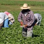 Lão nông 65 tuổi kiếm hơn 1.100 tỷ đồng trong vài năm dù “không làm gì mấy”, cảnh sát vào cuộc điều tra phát hiện điểm bất thường avatar1766396894559 17663968948771006838524jpg