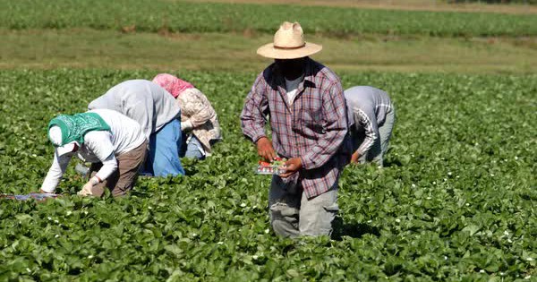 Lão nông 65 tuổi kiếm hơn 1.100 tỷ đồng trong vài năm dù “không làm gì mấy”, cảnh sát vào cuộc điều tra phát hiện điểm bất thường avatar1766396894559 17663968948771006838524jpg