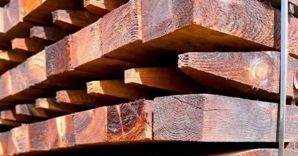 Phát minh của Mỹ làm rung chuyển cả 3 ngành xây dựng, giao thông, vũ trụ: Vật liệu bền ngang nhôm thép, chống ẩm chống cháy ‘ngon ơ’, giảm 90% phát thải carbon avatar1766645176256 1766645176749578090085jpg