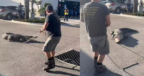 Đang đi đường, người dân phát hiện cảnh tượng "nổi da gà" avatar1766654552922 17666545537411754189713 0 21 315 525 crop 17666545719421768869905jpg