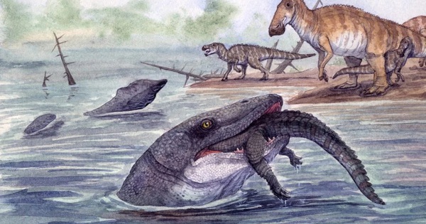 Thủy quái dài 11 mét "trỗi dậy" từ lòng sông cổ avatar1766732817255 17667328177392051525815jpg