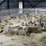 Ukraine: Phát hiện 4 công trình lạ xây bằng xương quái thú avatar1766901383724 17669013839772096398811jpg