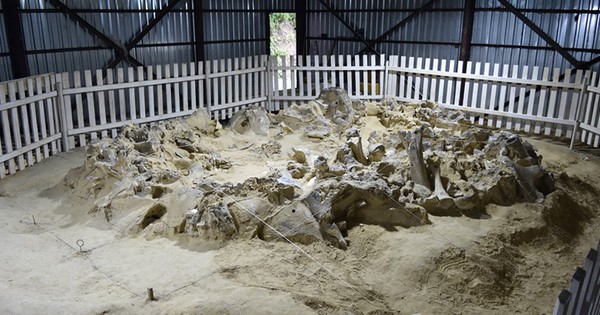 Ukraine: Phát hiện 4 công trình lạ xây bằng xương quái thú avatar1766901383724 17669013839772096398811jpg