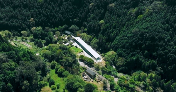 Đôi vợ chồng chi hơn 12 tỷ đồng mua mảnh đất 16.000m2 để nghỉ hưu sớm: “1 năm sau tôi phải quay lại thành phố, mọi thứ khác xa tưởng tượng” avatar1767080677817 1767080678181223602209png