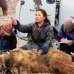 Hiếm hơn cả gấu trúc: "Bóng ma sa mạc" chỉ còn chưa đầy 50 cá thể và bên bờ vực tuyệt chủng avatar1767080748524 17670807489501951497138jpg