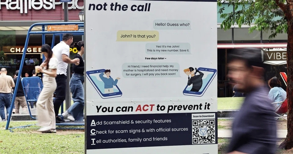 Lừa đảo gia tăng, Singapore ra đòn mạnh avatar1767142209614 17671422099801786600837jpg