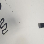 Người đàn ông 56 tuổi làm nghề "lạ", kiếm tiền tỷ/năm rất nhẹ nhàng avatar1767142732775 1767142733142221118760 0 37 315 541 crop 17671427599981621594149png