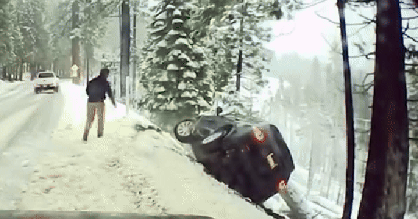 Phép màu trên vách núi ngày Giáng sinh avatar1767169160270 17671691609101399823473gifpng