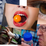 Tuyên bố chấn động: Không chỉ 5, con người có thể sở hữu tới 33 giác quan avatar1767246645292 1767246645690530941679png