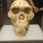 Hai loài người chưa từng biết đã đến lục địa Á - Âu cùng tổ tiên chúng ta avatar1767251148355 1767251149147476567641jpg