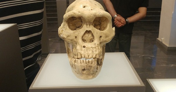 Hai loài người chưa từng biết đã đến lục địa Á - Âu cùng tổ tiên chúng ta avatar1767251148355 1767251149147476567641jpg