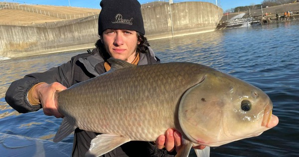 Sống hơn một thế kỷ, không lão hóa và nghịch lý sinh tồn của loài cá cổ đại Bắc Mỹ đang bị lãng quên avatar1767365530068 17673655305222044115076 174 0 1424 2000 crop 17673655485571039341247jpg