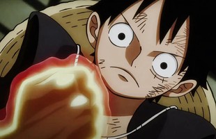 One Piece: Haki cũng có điểm yếu, không phải cứ luyện tập chăm chỉ là sẽ vô đối avatar1767450736722 17674507370021266642224jpg