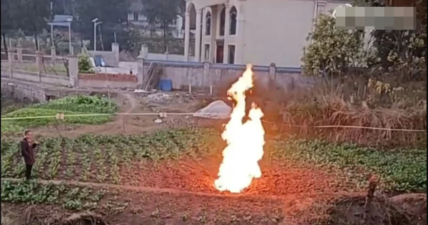 Cánh đồng gần trường học bỗng xuất hiện đám cháy lạ trong nhiều ngày liền, vẫn bùng lên cả khi trời mưa avatar1767510464199 1767510464563273446727png