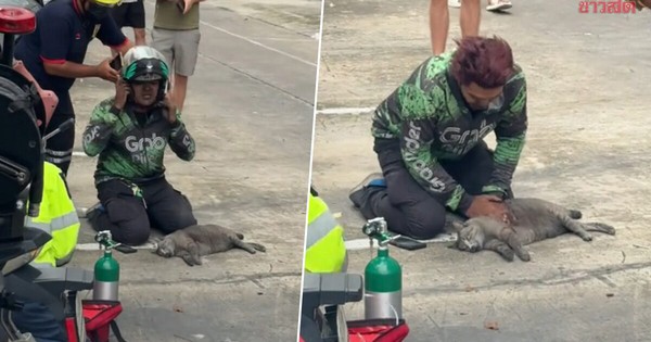 Nam shipper quỳ gập gối bên đường cố cứu mèo trong vụ cháy chung cư: Clip lan truyền chóng mặt, danh tính được truy tìm avatar1767583533372 17675835338231934330683jpg