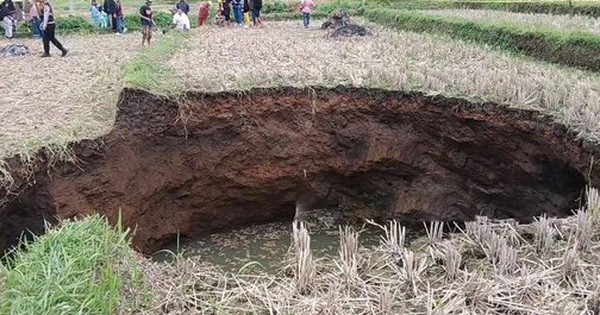 Ruộng lúa bất ngờ xuất hiện hố sụt sâu 5,7 mét, dân đổ xô đến xem avatar1767608931245 17676089317781251586078 0 60 315 564 crop 17676089477291860120304jpg