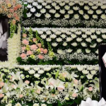 Các nghệ sĩ Hàn Quốc tưởng nhớ ngôi sao huyền thoại Ahn Sung Ki avatar1767699446121 17676994464572058887364 6 0 387 728 crop 1767699660725497324503png