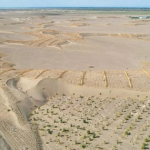 Phát minh chưa từng có trên thế giới của Trung Quốc: Không cần trồng cây vẫn phục hồi hàng nghìn hecta sa mạc, hiệu quả cao nhưng chi phí thấp avatar1767707337641 1767707338289654240988png