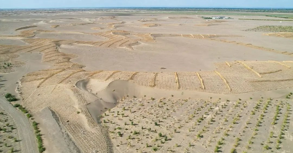 Phát minh chưa từng có trên thế giới của Trung Quốc: Không cần trồng cây vẫn phục hồi hàng nghìn hecta sa mạc, hiệu quả cao nhưng chi phí thấp avatar1767707337641 1767707338289654240988png