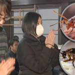 Công ty diệt côn trùng Nhật Bản làm lễ cầu siêu cho những con bọ bị tiêu diệt avatar1767769697806 176776969816440482244png