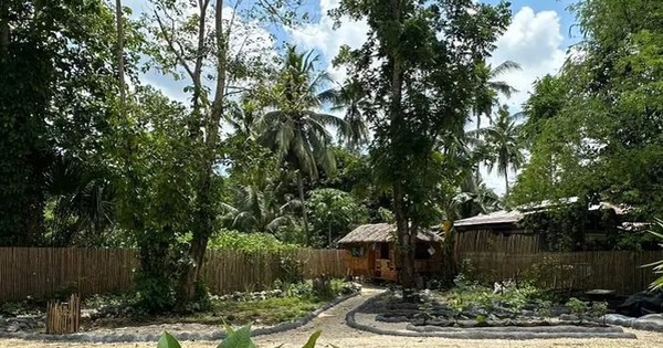 Cặp đôi rủ nhau ra đảo xây biệt phủ “dưỡng già”, tưởng được sống tách biệt nhưng chỉ 6 tháng đã thảng thốt: “Sao không như tôi nghĩ?” avatar1767769931799 17677699323351057028484jpg