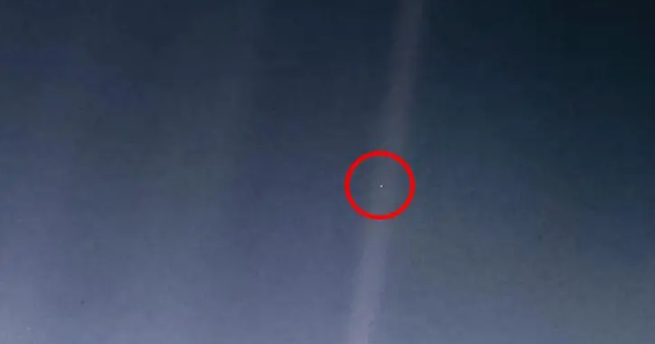 Cách Trái Đất 23,1 tỷ km, tàu Voyager gửi ảnh gây chấn động: Nhân loại có thể không phải sự sống duy nhất avatar1767773022492 17677730265651373804400png