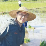 Phát minh của Trung Quốc làm rung chuyển ngành nông nghiệp, tạo ra giống có thể nhân đôi sản lượng lúa toàn cầu, tiết kiệm đến 99% chi phí tạo giống avatar1767775744173 1767775744537837133872png